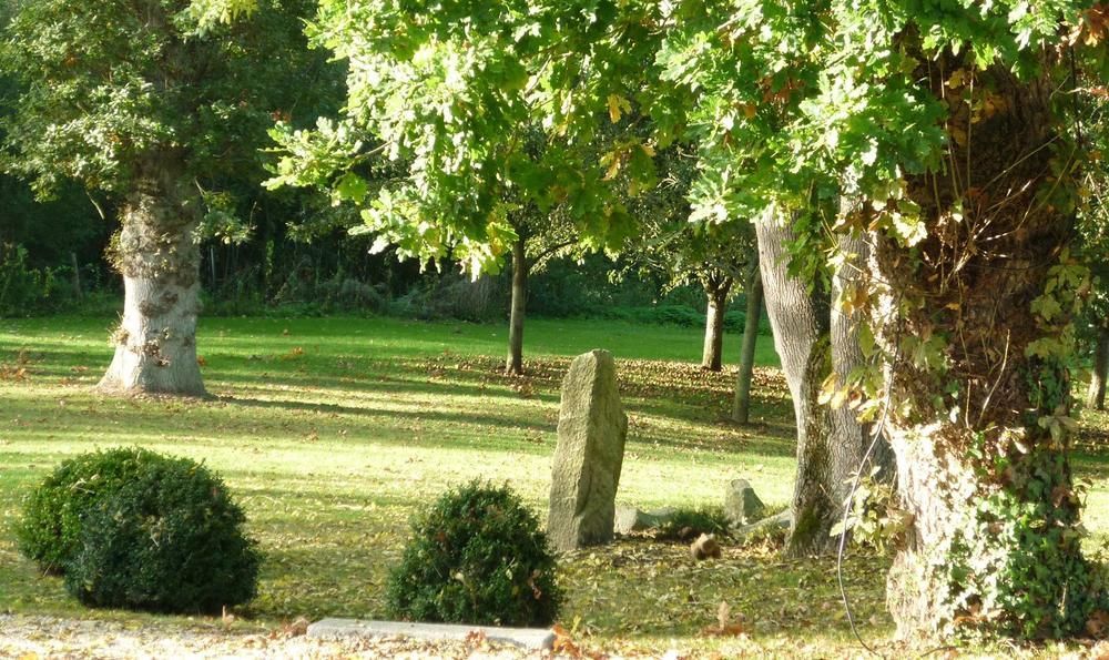 Logis Le Manoir Des Portes 3* Lamballe